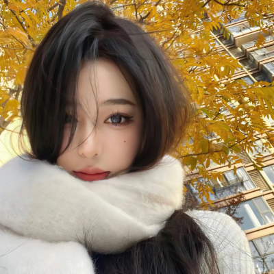 哆啦A梦：大雄与动物行星国语