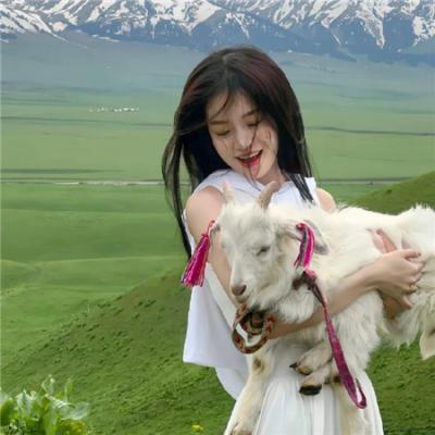 重生后，我登峰造极